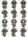 Pokemon 3d N Project.png