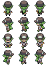Pokemon 3d N Project.png