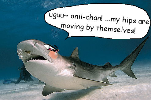 f0Dya.jpg