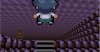 2) It walked straight.jpg