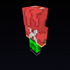 Skin picture 2.png