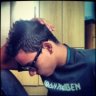 TrueFox