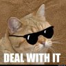 coonscoop12