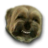 Jin-do