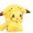 Zia Pichu