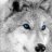 Wolfy